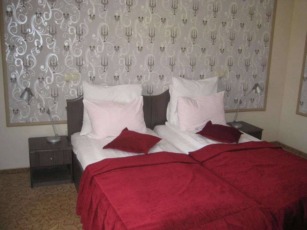 Гостевой дом Pension Casa Frieda Сибиу-25